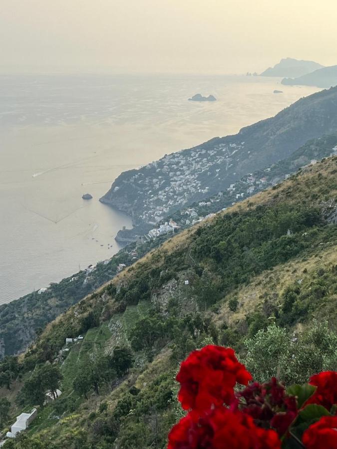 Dreams * Agerola